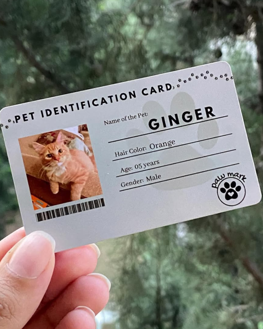 Wallet Card